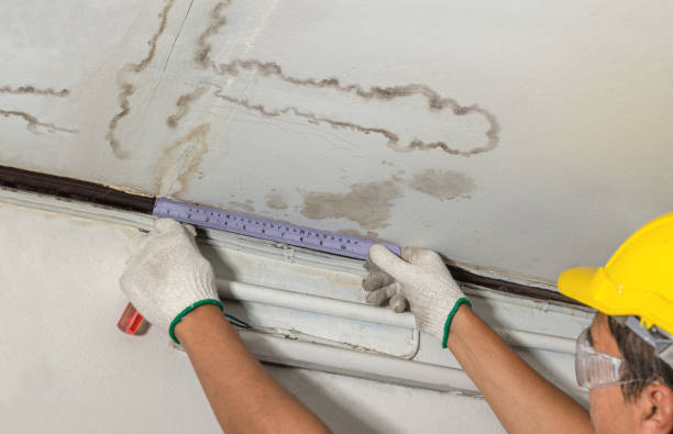 Reliable Burst Pipe Cleanup contractor in Auburn, KS by Water Damage Irwin
